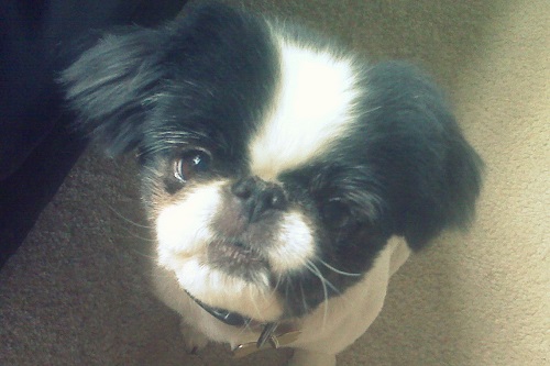 Pebbles