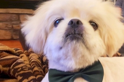 Charlie