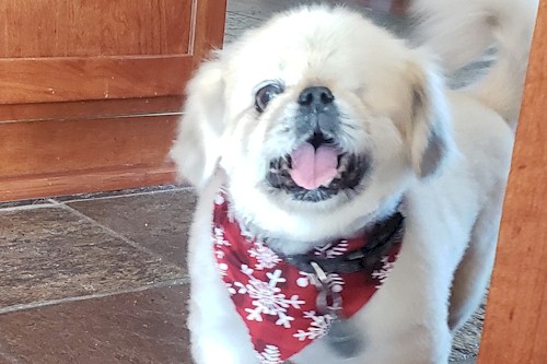 After a haircut